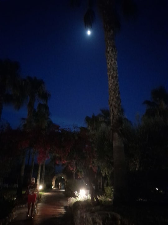 Gartenanlage Hotel Defne Garden