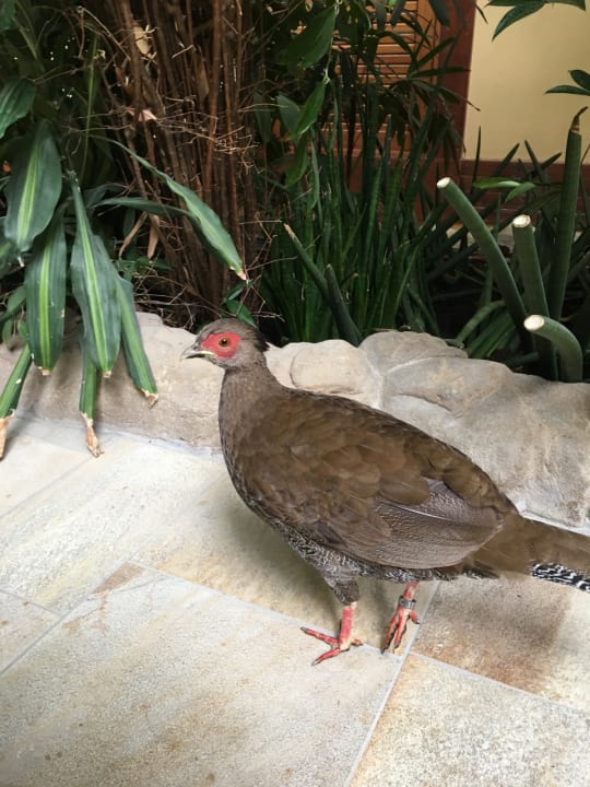 Sonstiges Tropical Islands Resort