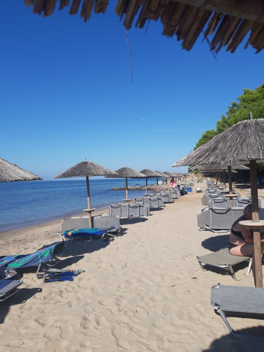 Strand Blue Dolphin Resort Hotel