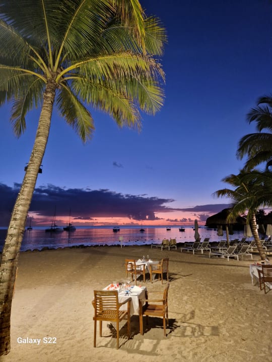 Gastro The Ravenala Attitude