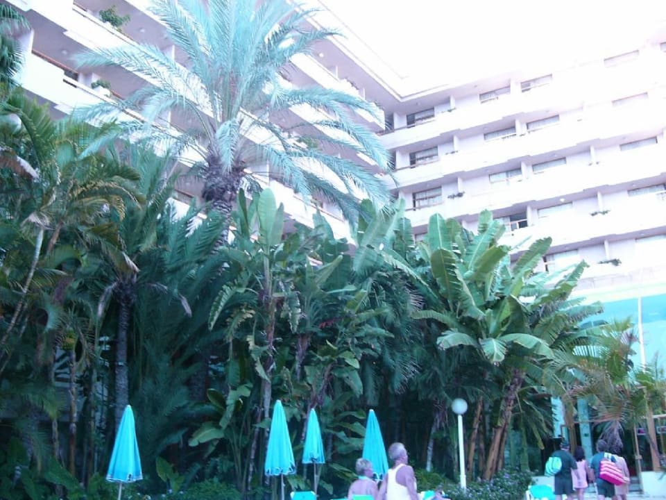 Innenhof Hotel Best Tenerife