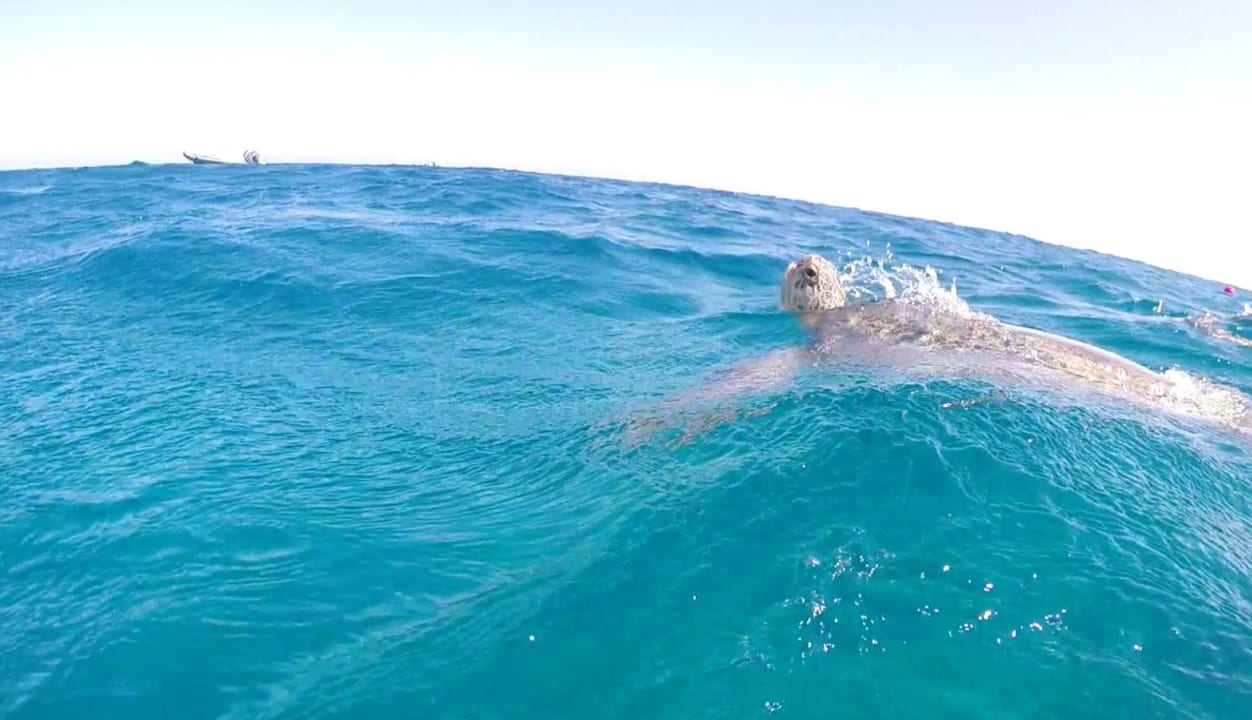 Sport & Freizeit Malikia Resort Abu Dabbab