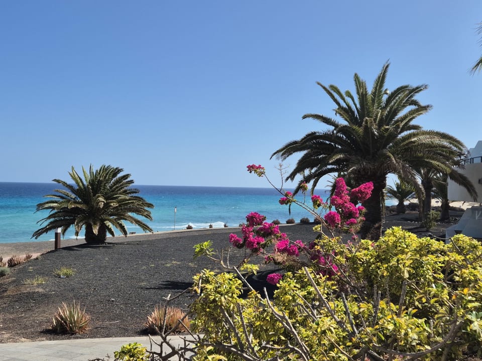 Gartenanlage Iberostar Waves Gaviotas Park