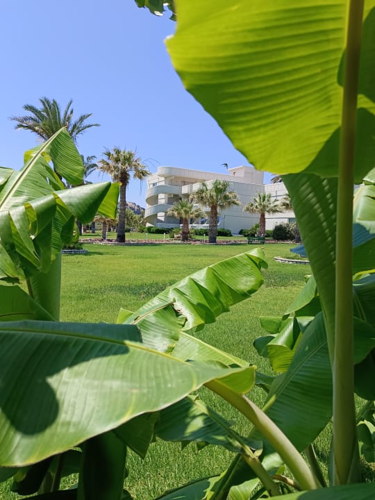 Außenansicht Rodos Palladium Leisure & Wellness