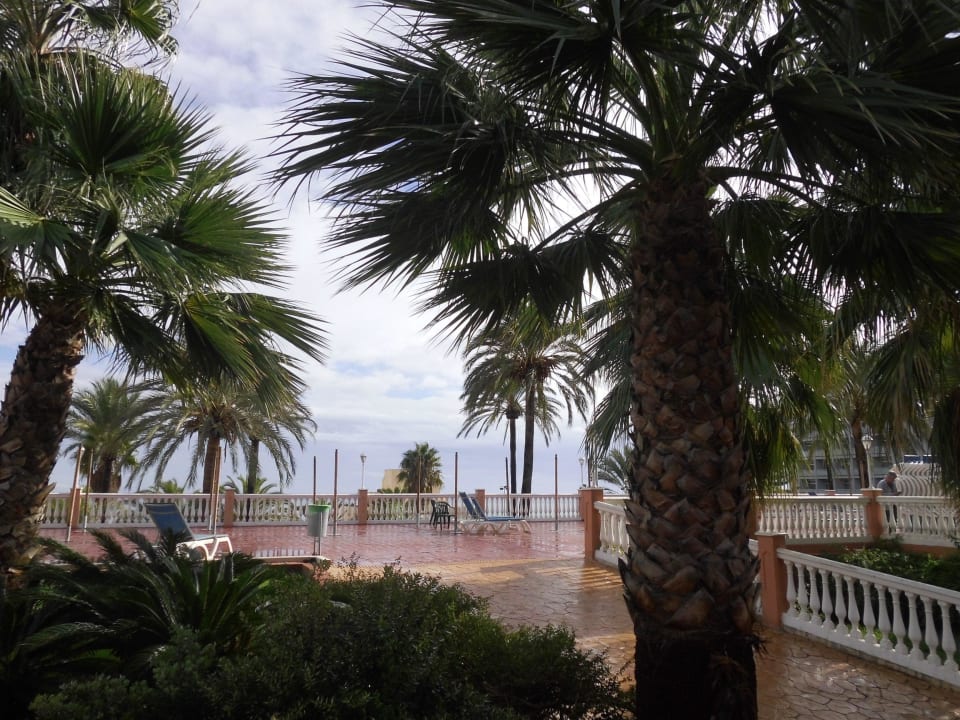 Blick vom Innenhof zum Meer Hotel Best Siroco