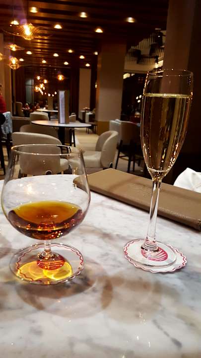 Gastro Acanthus Cennet Barut Collection