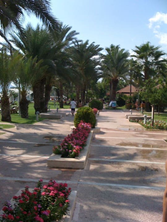 Zwischen Hotel und Villagio Club Med Palmiye