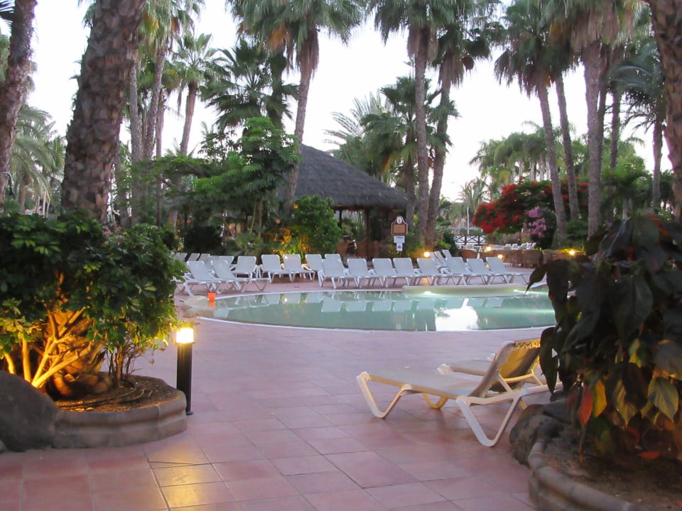 Pool Tabaiba Princess