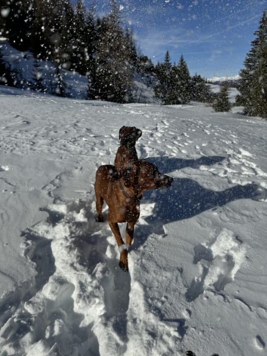 Außenansicht Hotel Kreuzberg Monte Croce