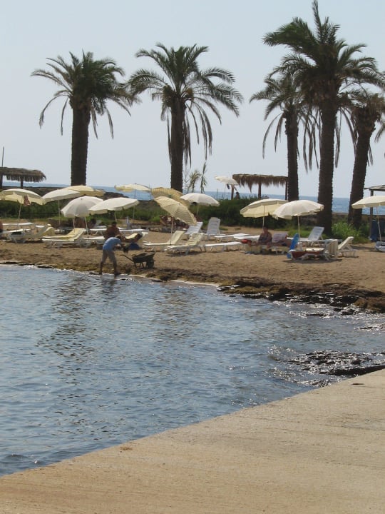 Entfernen von angespülten Algen Oz Hotels Incekum Beach