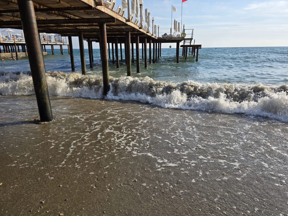 Strand Dizalya Palm Garden