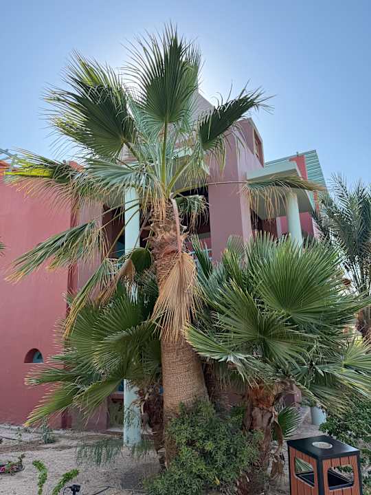 Gartenanlage Sheraton Miramar Resort El Gouna
