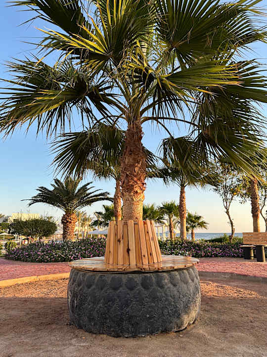 Gartenanlage Three Corners Equinox Beach Resort