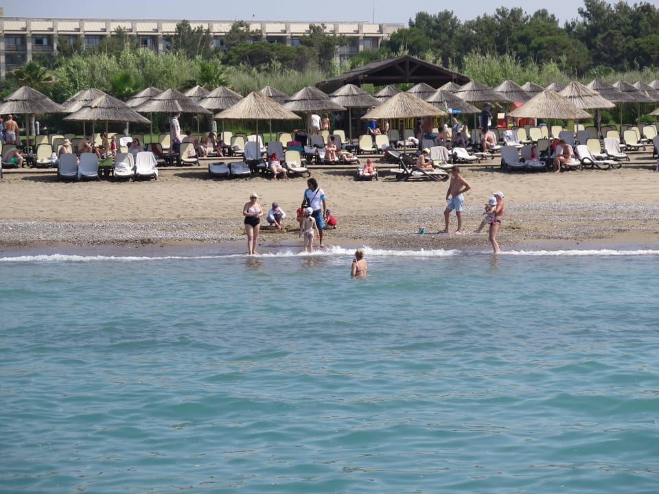 Blick auf den Strand Gloria Serenity Resort