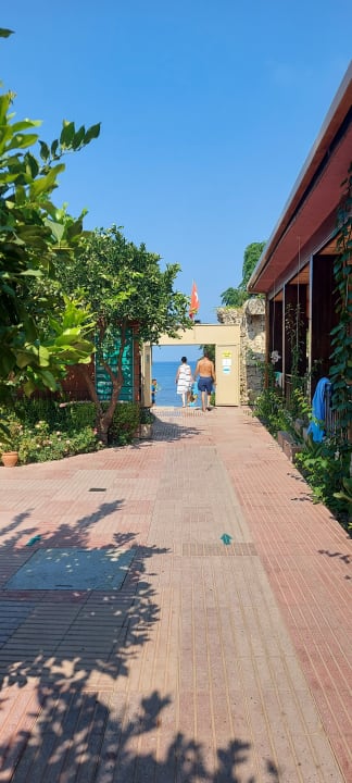 Ausblick Can Garden Beach