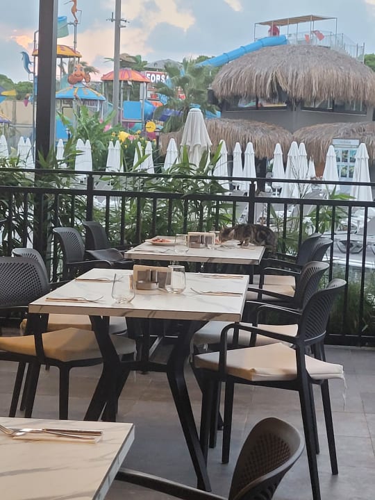 Gastro The X Belek Hotel