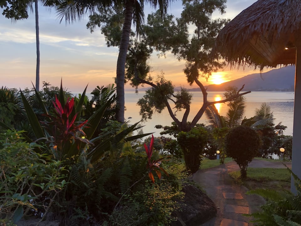 Gartenanlage Hotel Bay View Resort Lamai