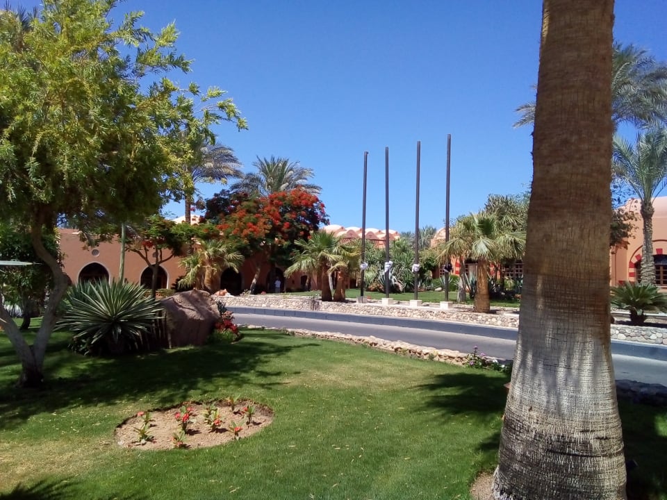 Gartenanlage Jaz Makadi Oasis Resort