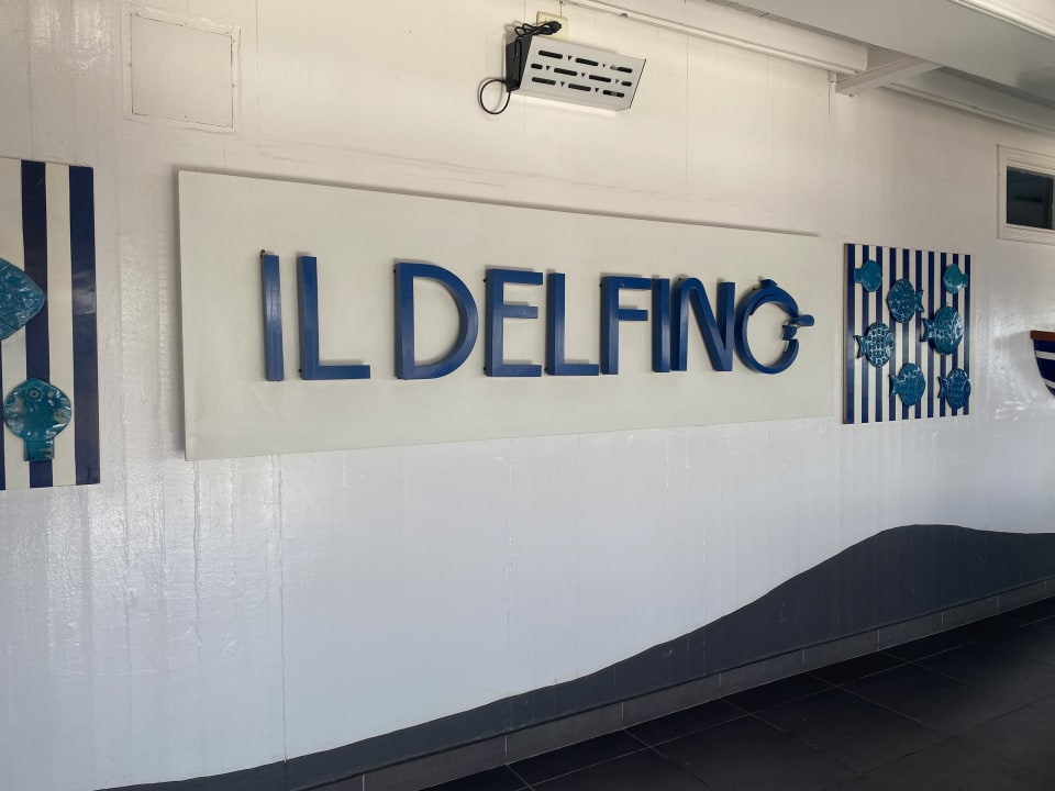 Sonstiges Desert Rose