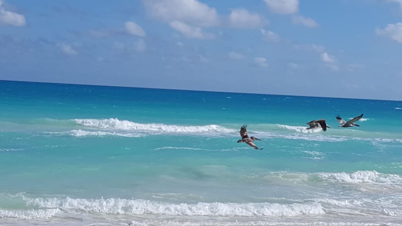 Strand Melia Las Dunas