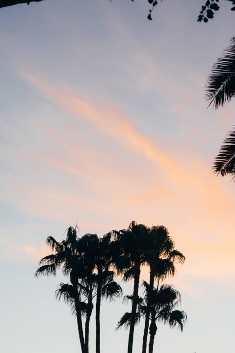 Nice dusk Hotel Parque Tropical