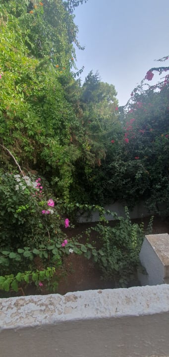 Zimmer Hotel Bel Azur Thalasso & Bungalows