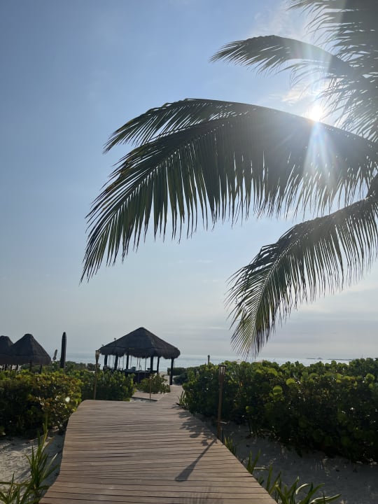 Strand Secrets Playa Mujeres Golf & Spa Resort - Adults only