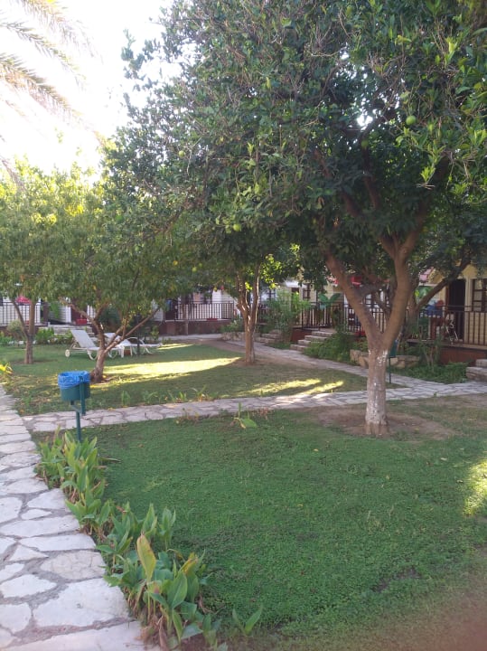 Gartenanlage Clover Magic Nova Beach