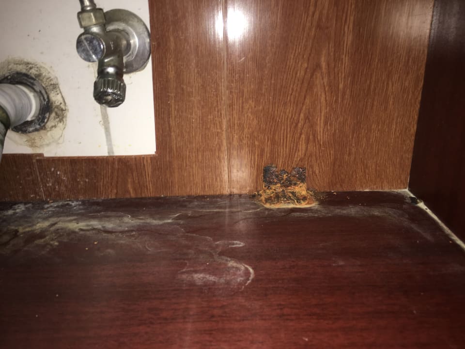 Zimmer Oz Hotels Incekum Beach