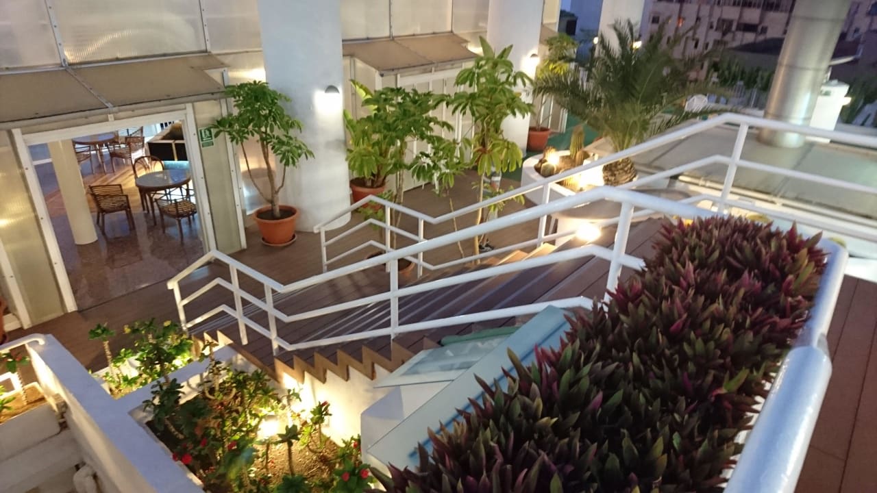 Außenanlage Bull Astoria