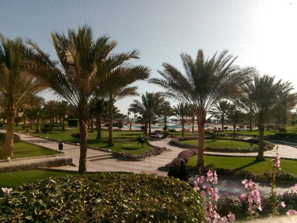 Gartenanlage Three Corners Sea Beach Resort