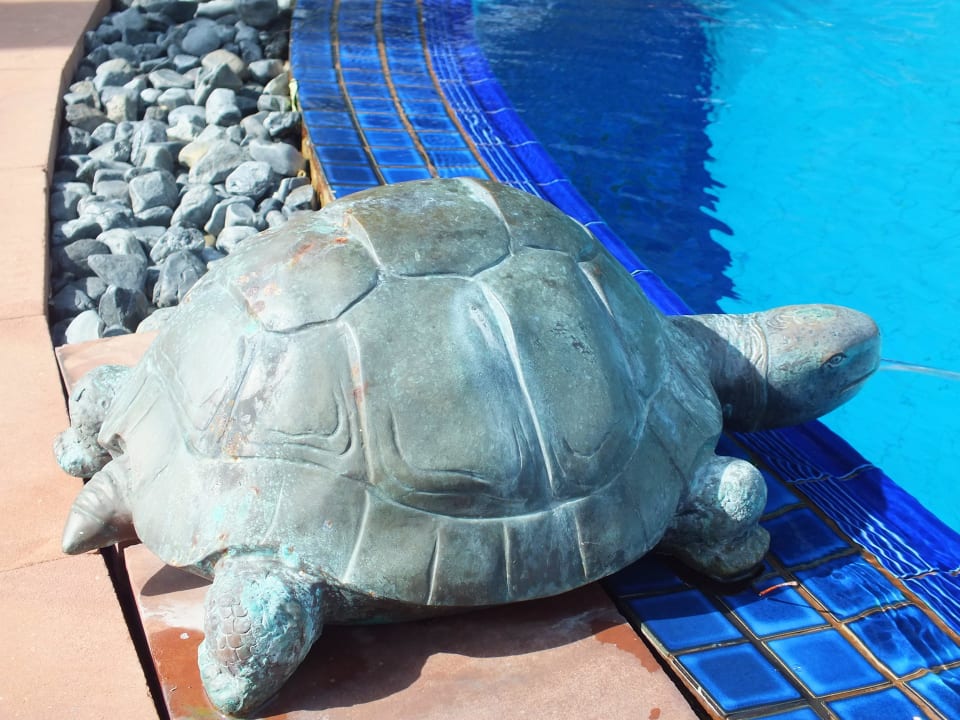 Ocean View Pool Diamond Cliff Resort & Spa, Patong Beach