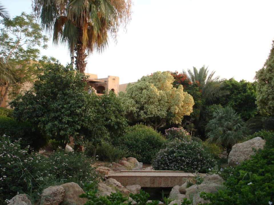 Hotel Mövenpick Mövenpick Resort & Spa Dead Sea