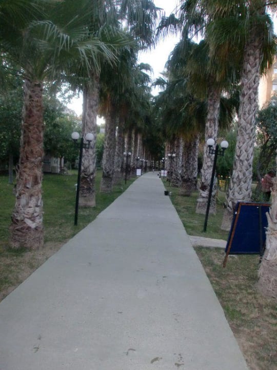 Weg zum Strand Hotel Gardenia Beach