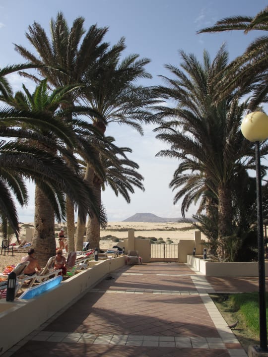 Gartenanlage Hotel Riu Oliva Beach - Hotel