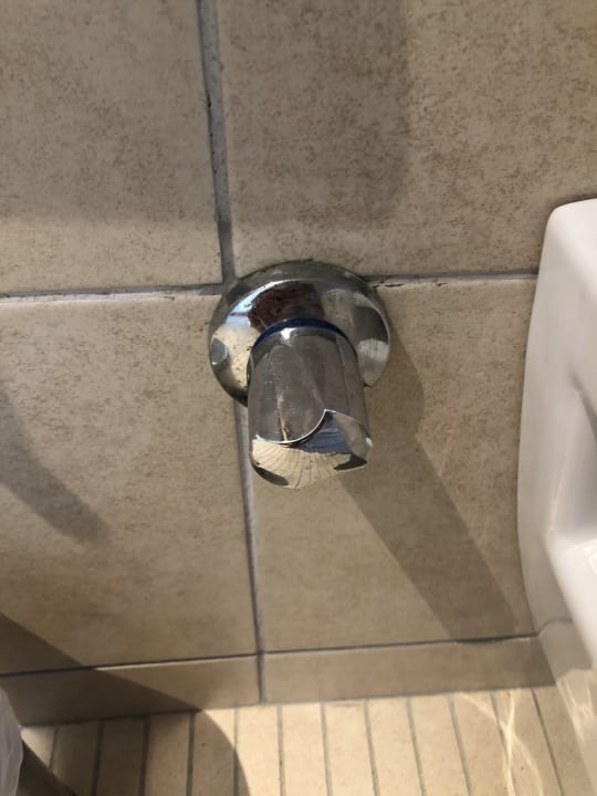 Zimmer Well Palace Side