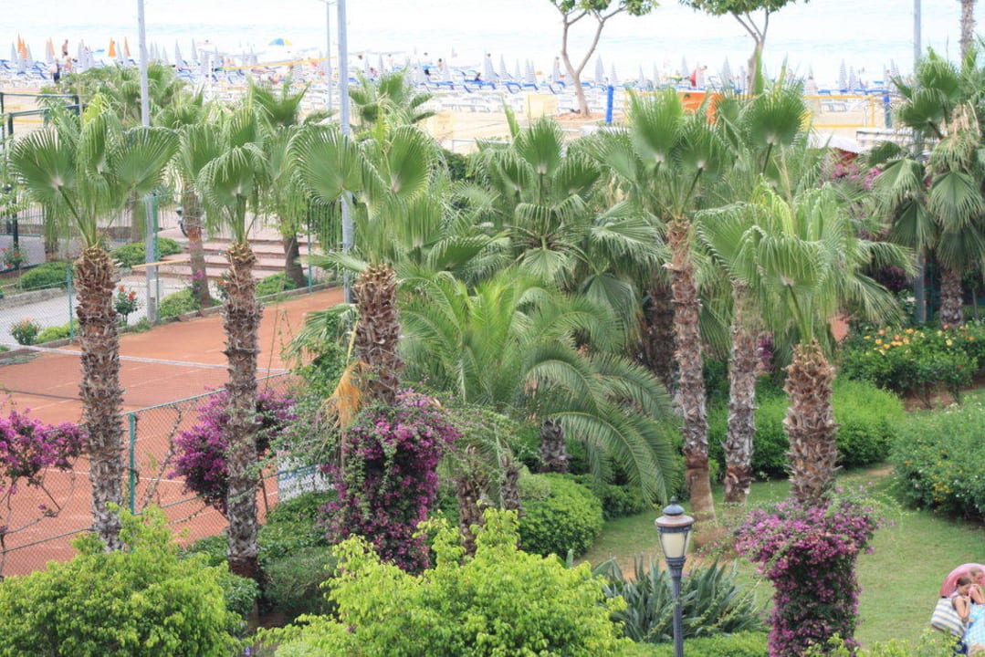 Ausblick von Zimmer 315 Gardenia Hotel