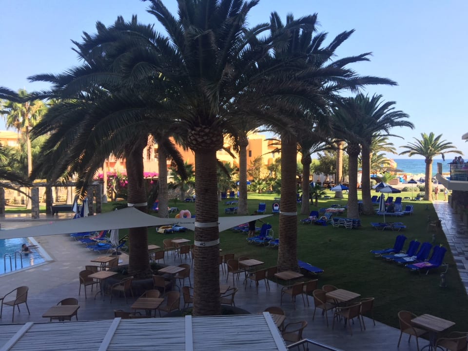 Ausblick Calimera Sirens Beach