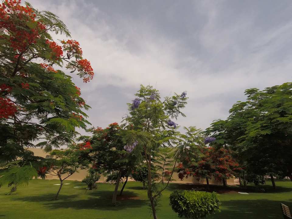 Gartenanlage Cleopatra Luxury Resort Makadi Bay