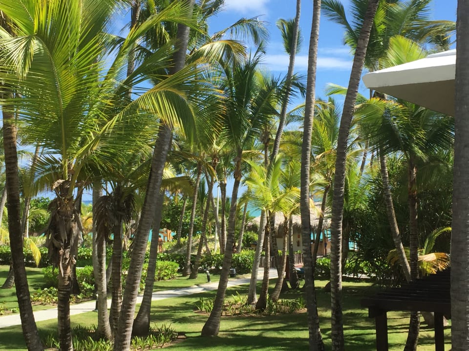 Gartenanlage Hotel Grand Palladium Palace Resort, Spa & Casino