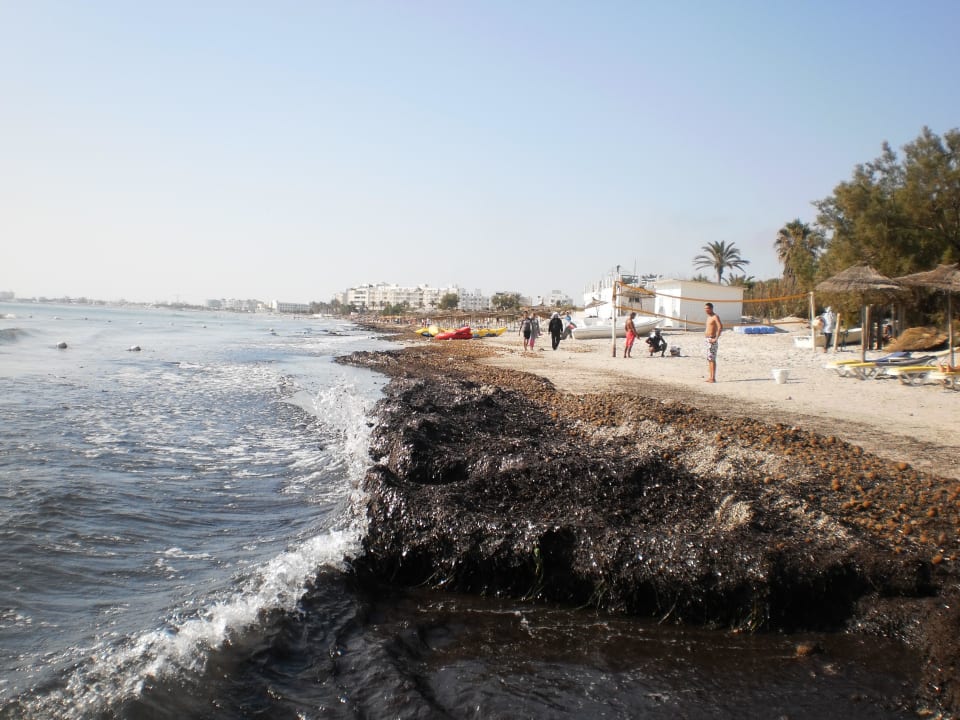 Otrasné ale realita Hotel Thalassa Mahdia