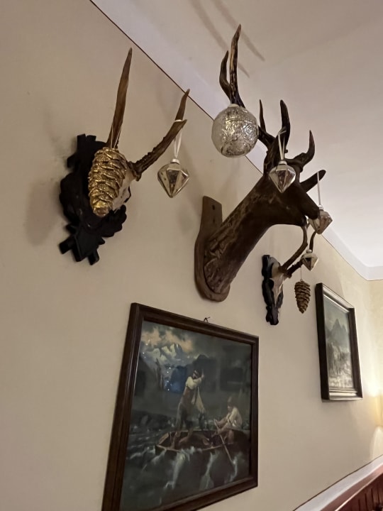 Sonstiges Hotel Butzn Wirt