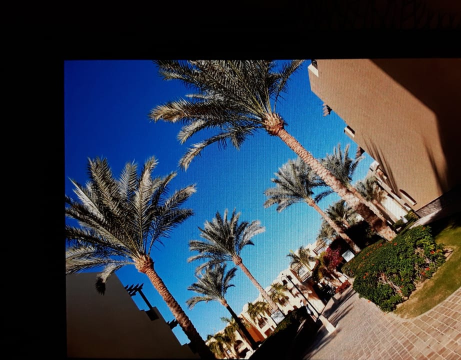 Gartenanlage Stella Garden Resort & Spa, Makadi Bay