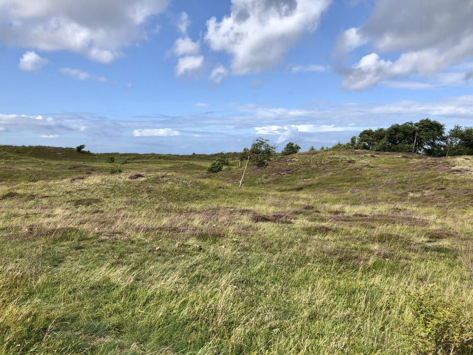 Außenansicht Ferienwohnungen Ferienpark Weissenhäuser Strand
