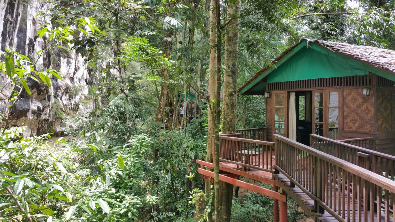 Blick zum Fluss  Our Jungle House