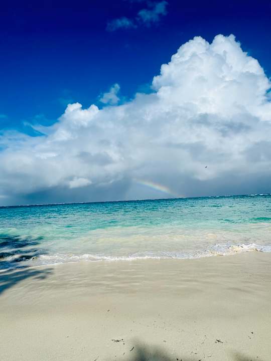 Strand Paradisus Rio de Oro Resort & Spa - Adults only