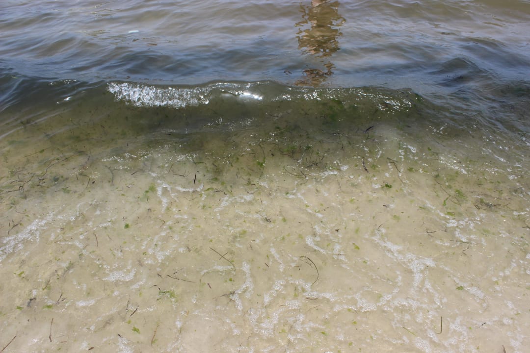 Lepiej nie wchodzić Houda Golf & Beach Club