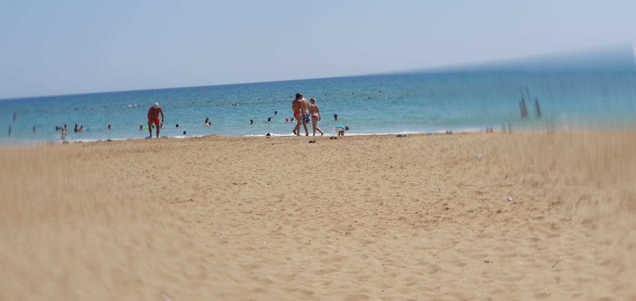 Strand Seashell Vega