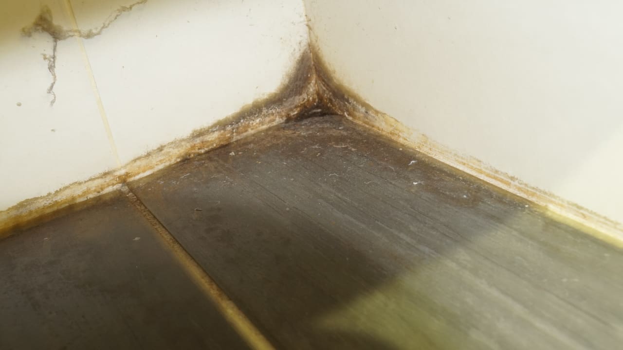 Zimmer Apartments Fahrenheit Suites