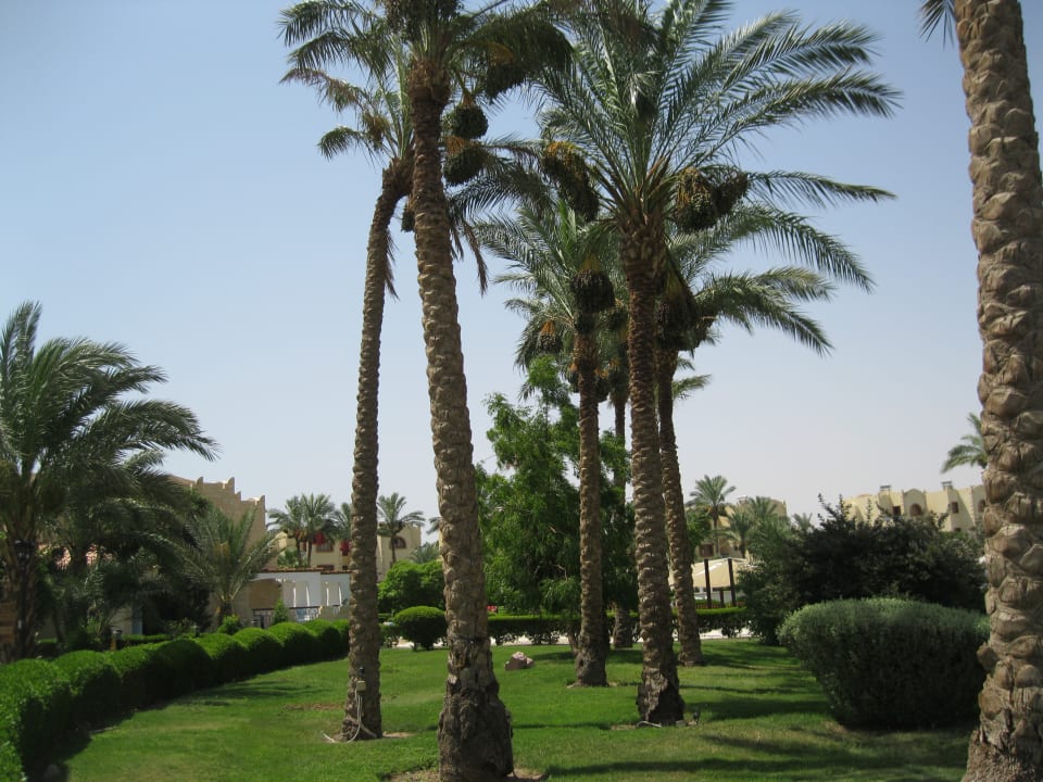 Gartenanlage Royal Lagoons Resort & Aqua Park